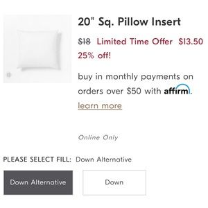 West Elm Pillow Insert